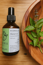 Hidrolato de Manjericao